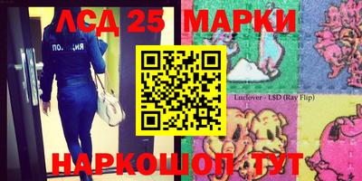 амф Боровичи