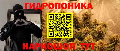 стаф Брянск