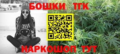 стаф Брянск