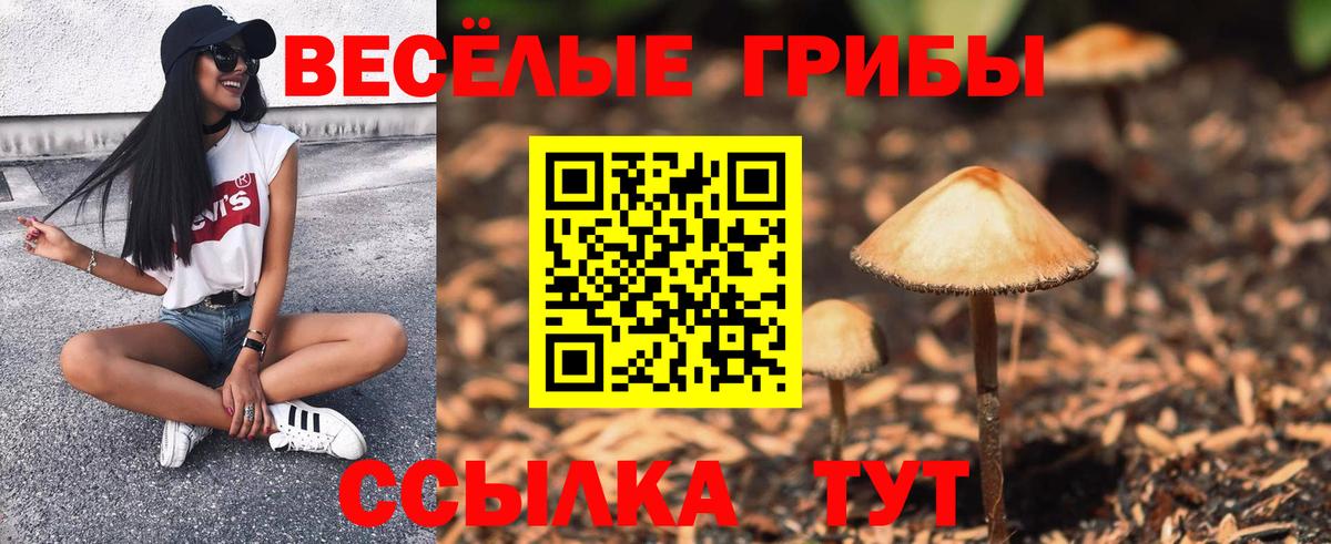 Богородск  Галлюциногенные грибы Cubensis  Вход с VPN  Галлюциногенные грибы мухоморы 