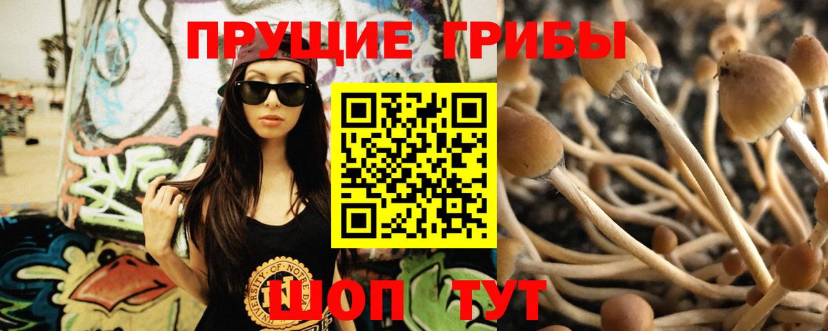 Галлюциногенные грибы ЛСД Богородск